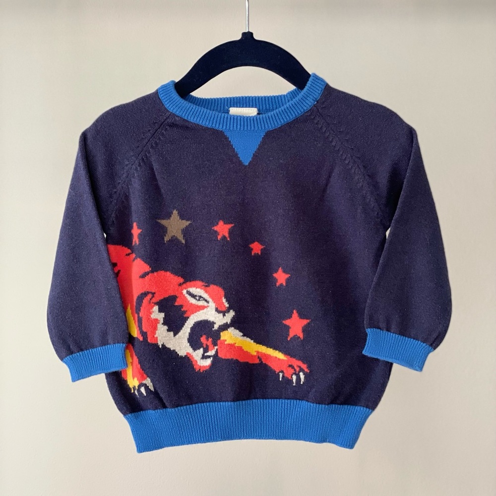 Egg by Susan Lazar Tiger Sweater